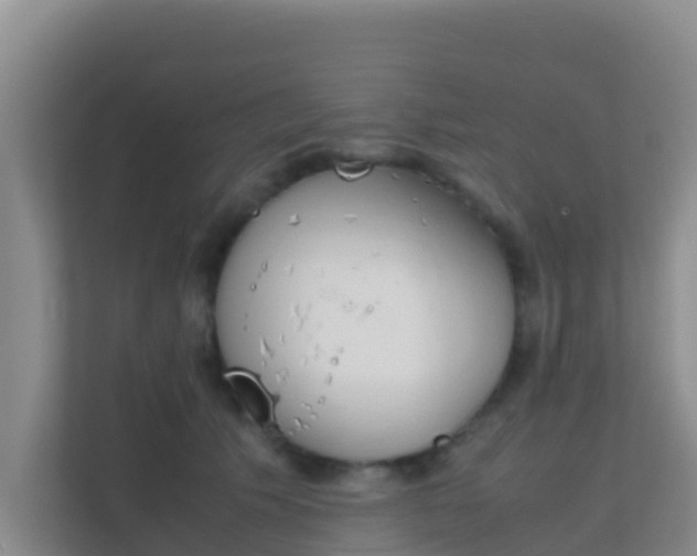 X0000111660609200907241153