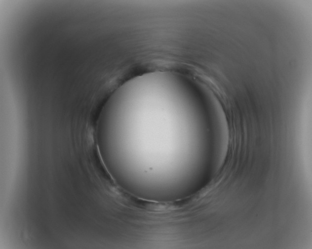 X0000111660621200907241153