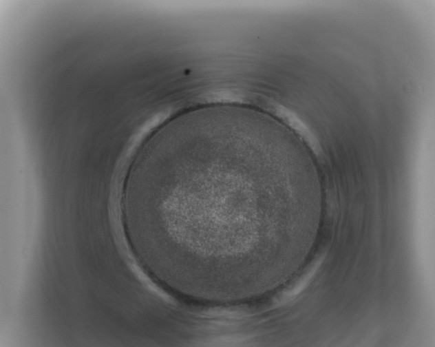 X0000111660625200907241152