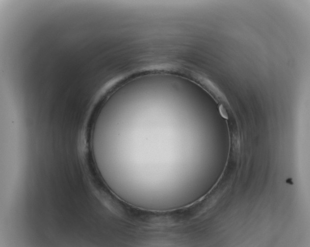 X0000111660628200907241152