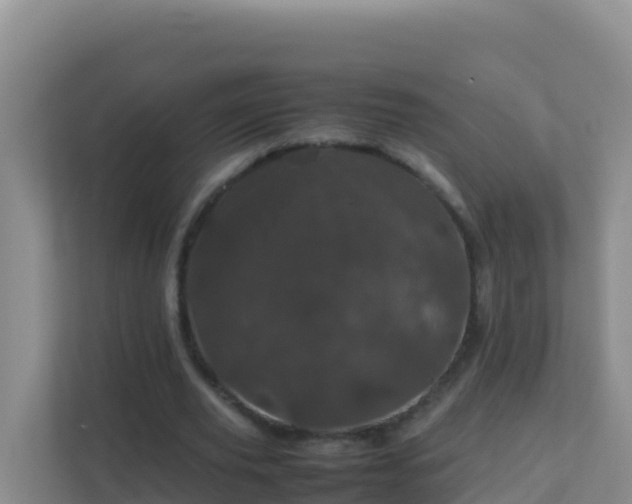 X0000111660629200907241152