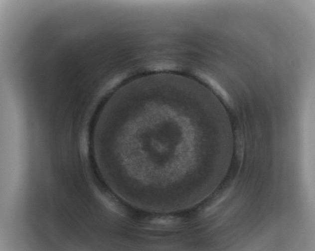 X0000111660631200907241152