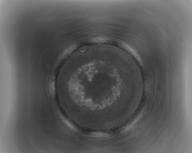 X0000111660633200907241152