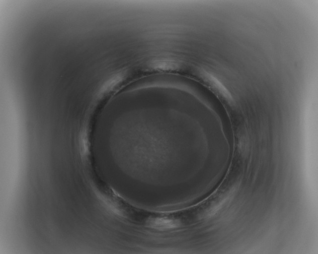 X0000111660635200907241152
