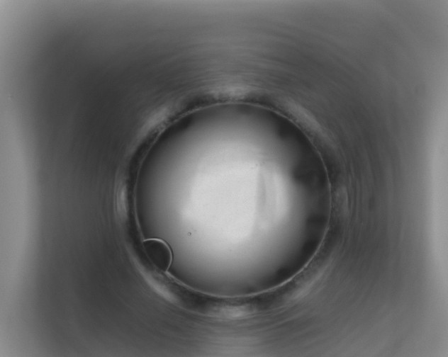 X0000111660638200907241152