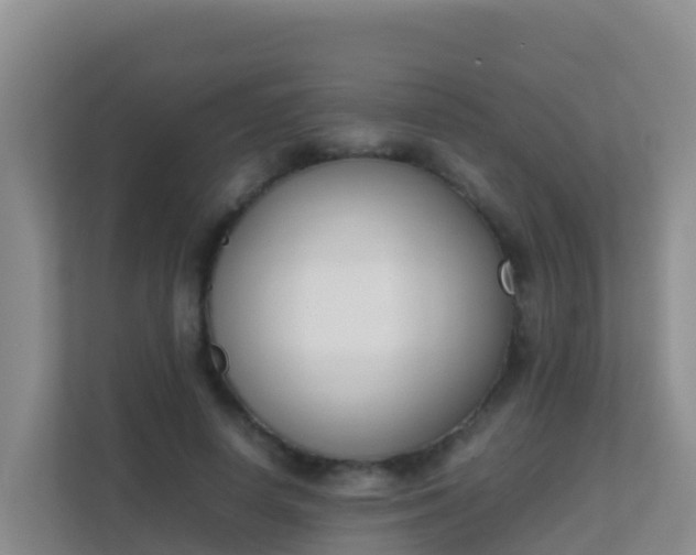 X0000111660642200907241152