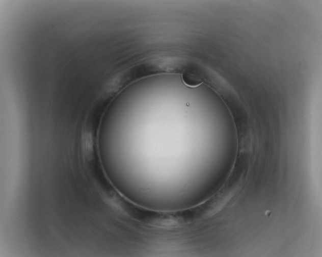 X0000111660646200907241152