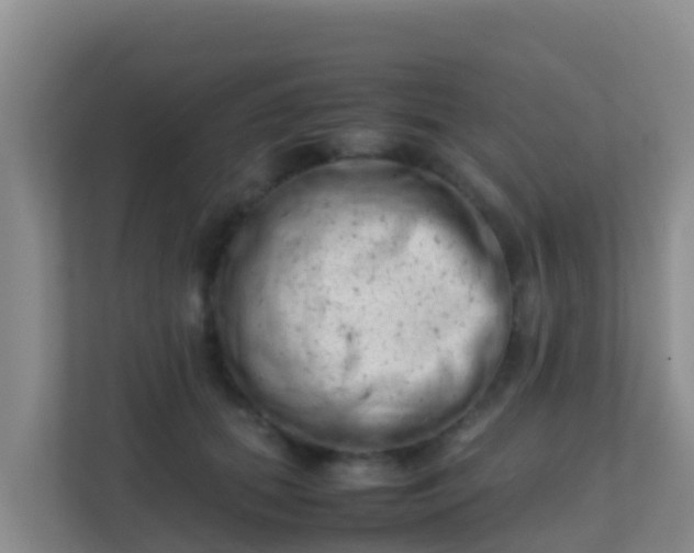 X0000111660655200907241152