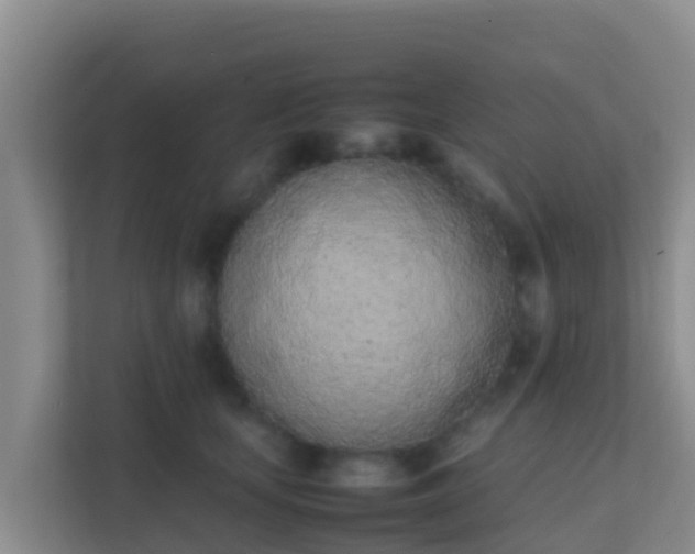 X0000111660659200907241152