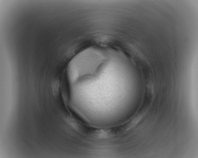 X0000111660660200907241152