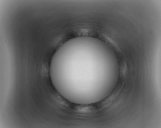 X0000111660661200907241152