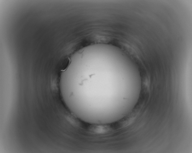X0000111660663200907241152
