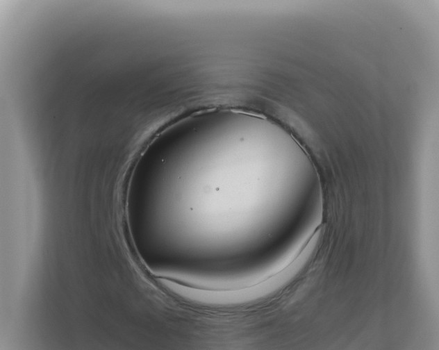 X0000111660673200907241152