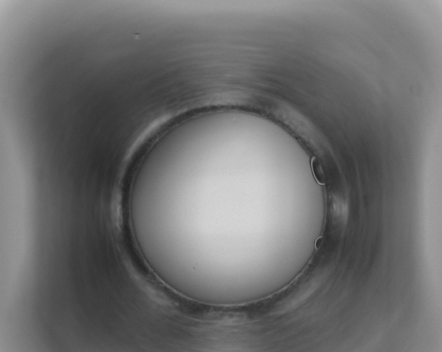 X0000111660676200907241152