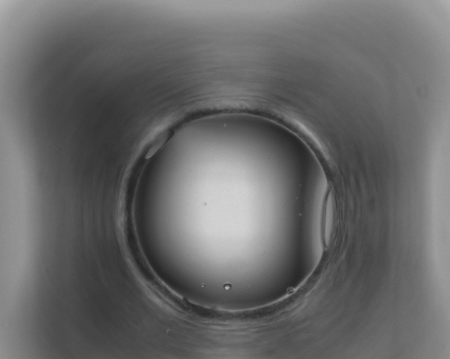 X0000111660677200907241152