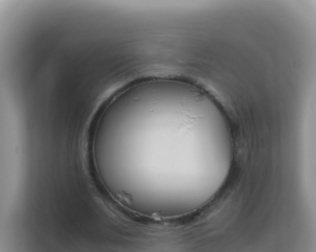 X0000111660679200907241152