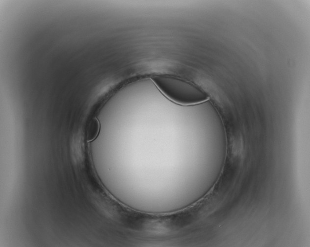 X0000111660680200907241152