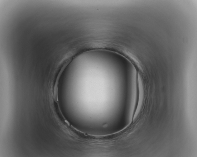 X0000111660681200907241152