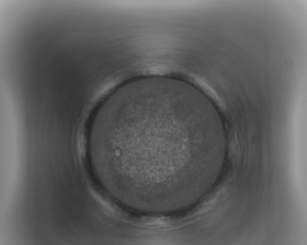 X0000111660683200907241152