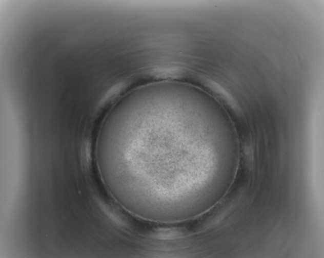 X0000111660686200907241152