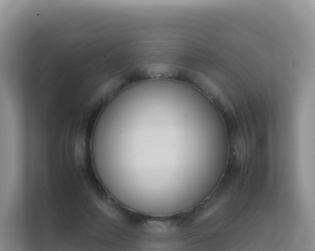 X0000111660690200907241152