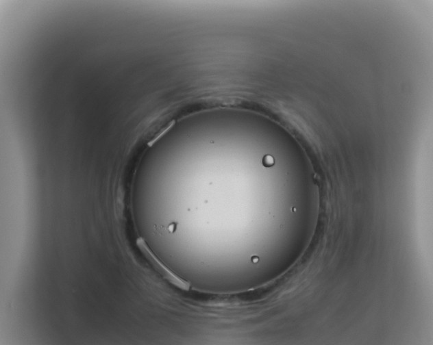 X0000111660693200907241152
