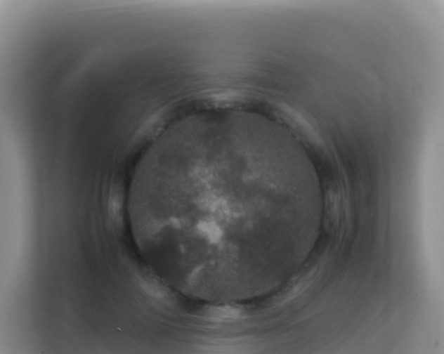 X0000111660698200907241152