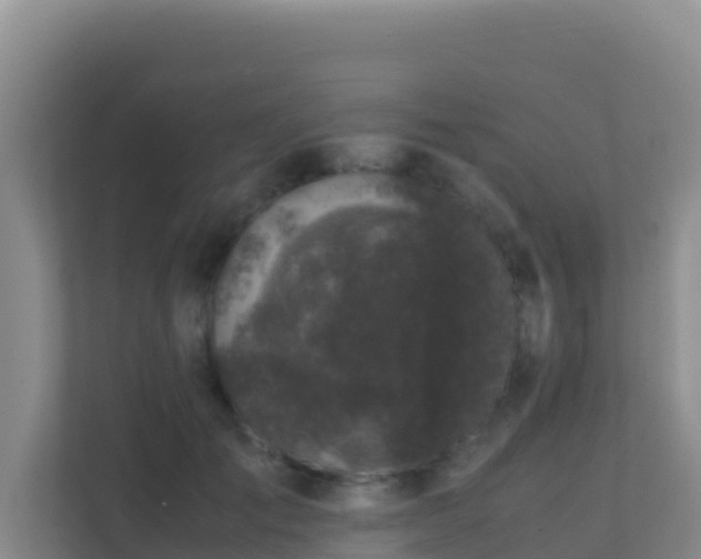 X0000111660701200907241152