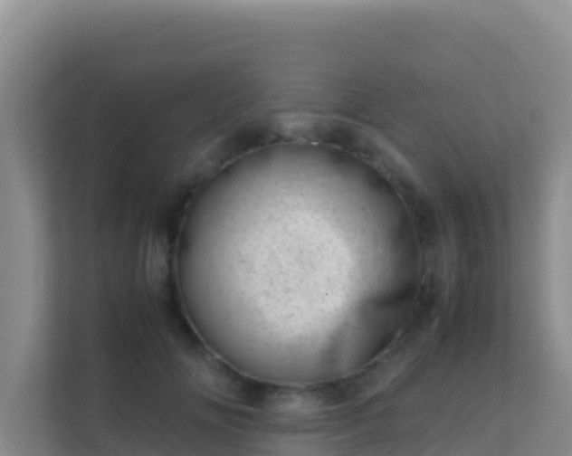 X0000111660702200907241152