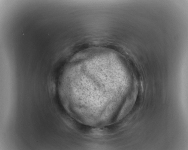 X0000111660703200907241152