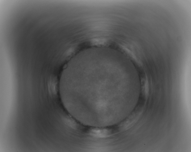 X0000111660712200907241151