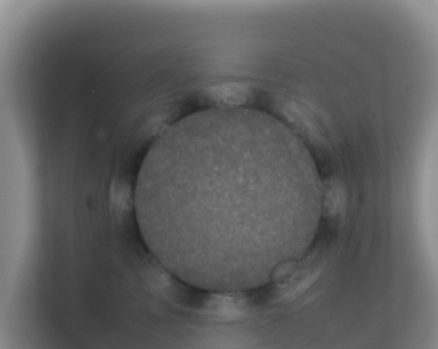 X0000111660713200907241151