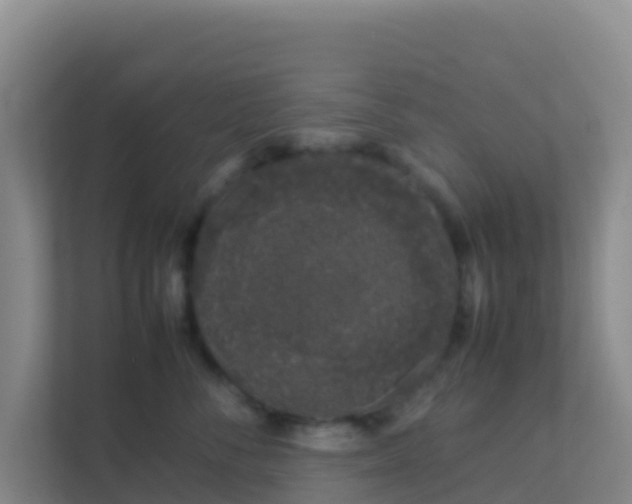 X0000111660716200907241151