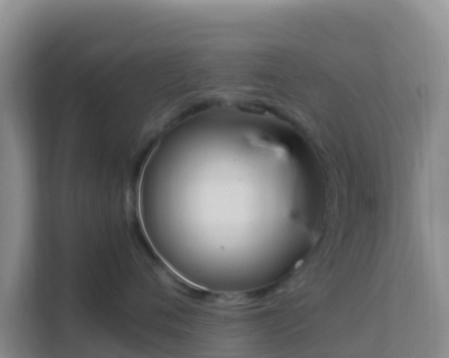 X0000111660720200907241151