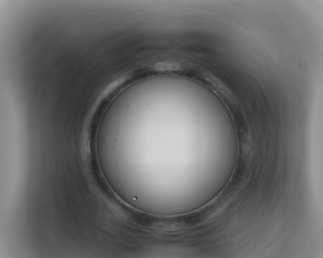 X0000111660727200907241151