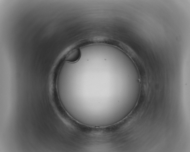 X0000111660728200907241151