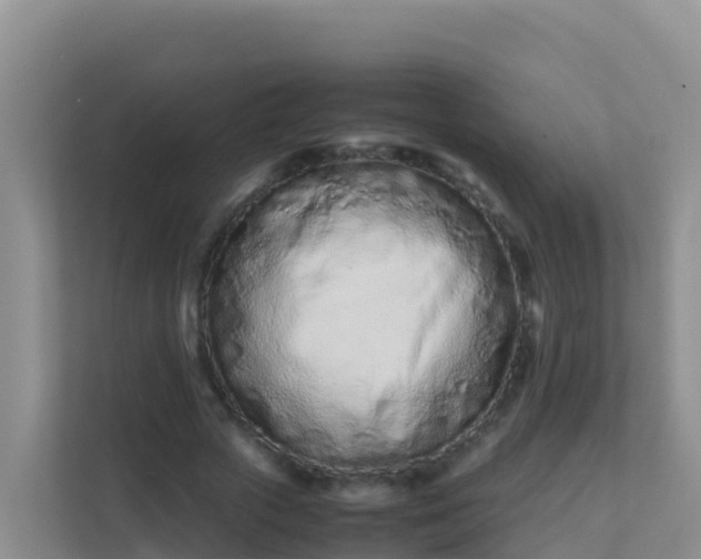 X0000111660729200907241151