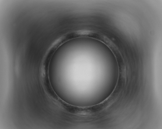 X0000111660731200907241151