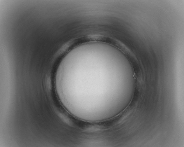 X0000111660734200907241151