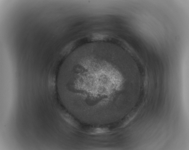 X0000111660737200907241151
