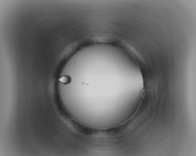 X0000111660738200907241151
