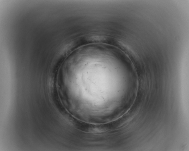 X0000111660739200907241151