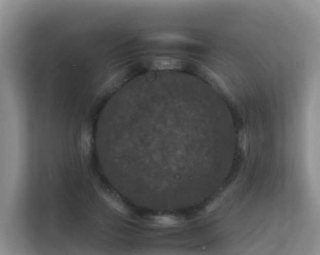 X0000111660741200907241151