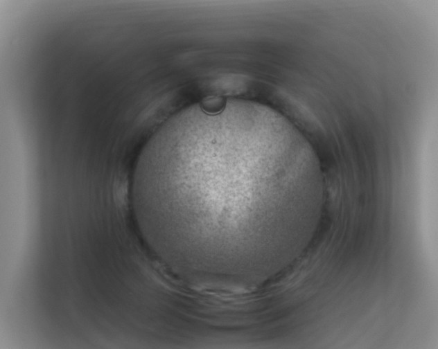 X0000111660745200907241151