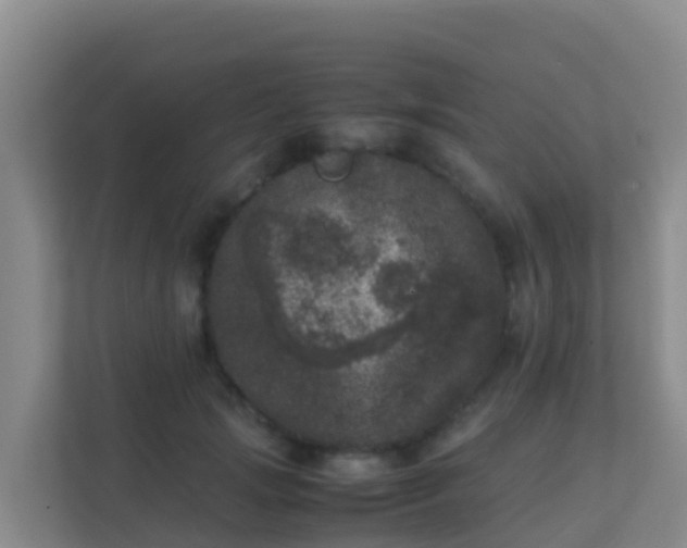X0000111660749200907241151