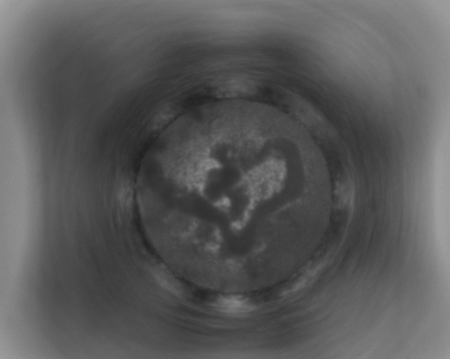 X0000111660753200907241151