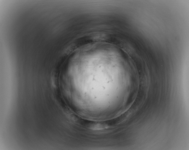 X0000111660755200907241151