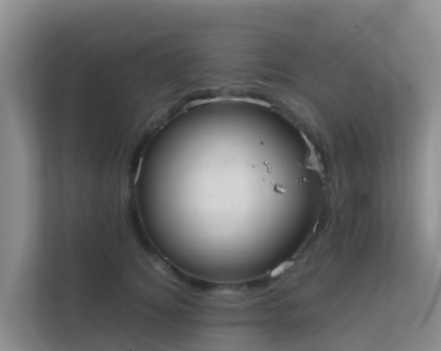 X0000111660756200907241151