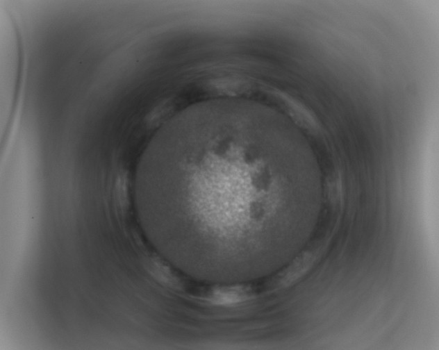 X0000111660757200907241151