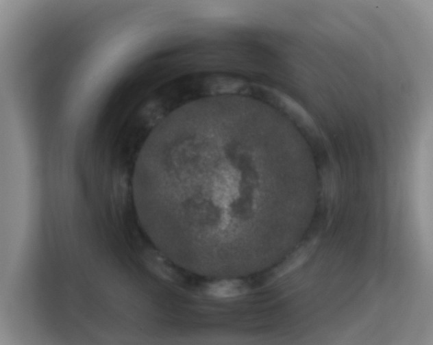 X0000111660761200907241151